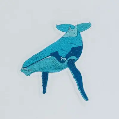 Zoom